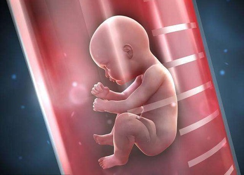 2023美國試管嬰兒醫(yī)院大全，醫(yī)院排行榜!