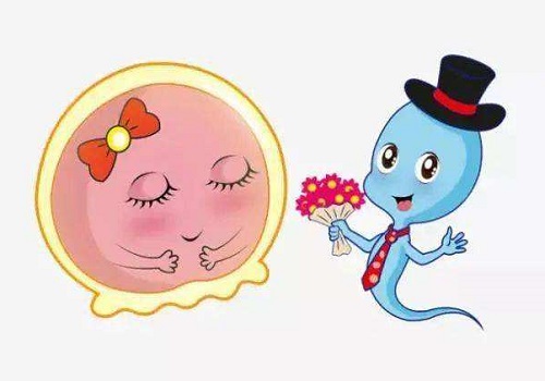 美國做一個試管嬰兒明細多少錢?